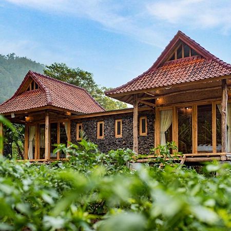 Pondok Manoka Kintamani المظهر الخارجي الصورة