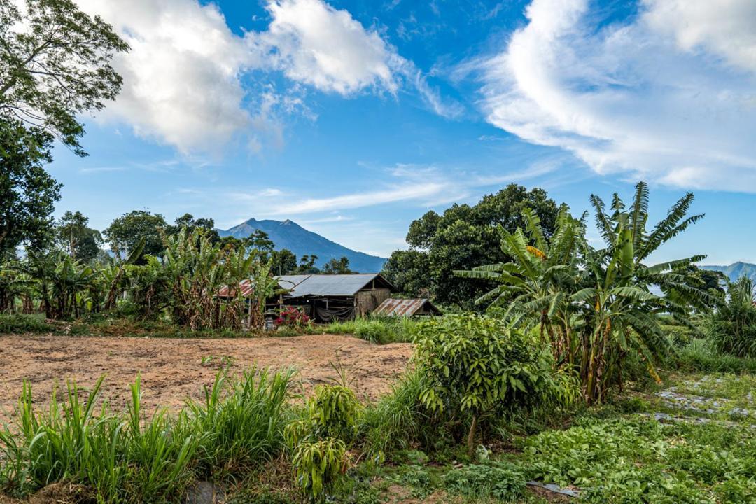 Pondok Manoka Kintamani المظهر الخارجي الصورة