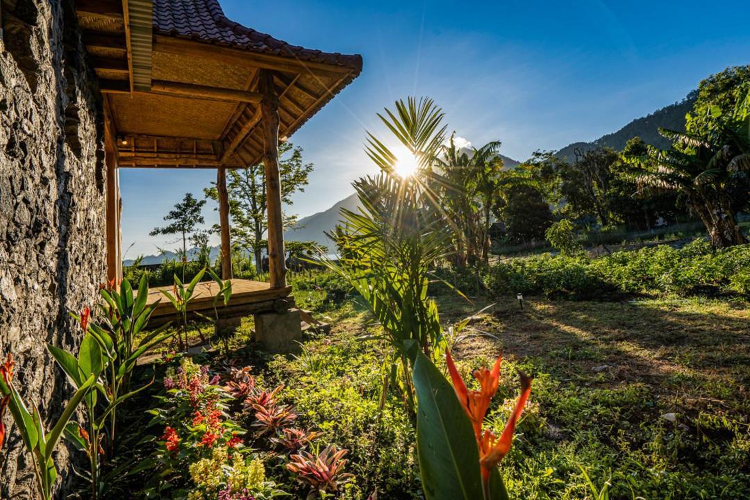 Pondok Manoka Kintamani المظهر الخارجي الصورة