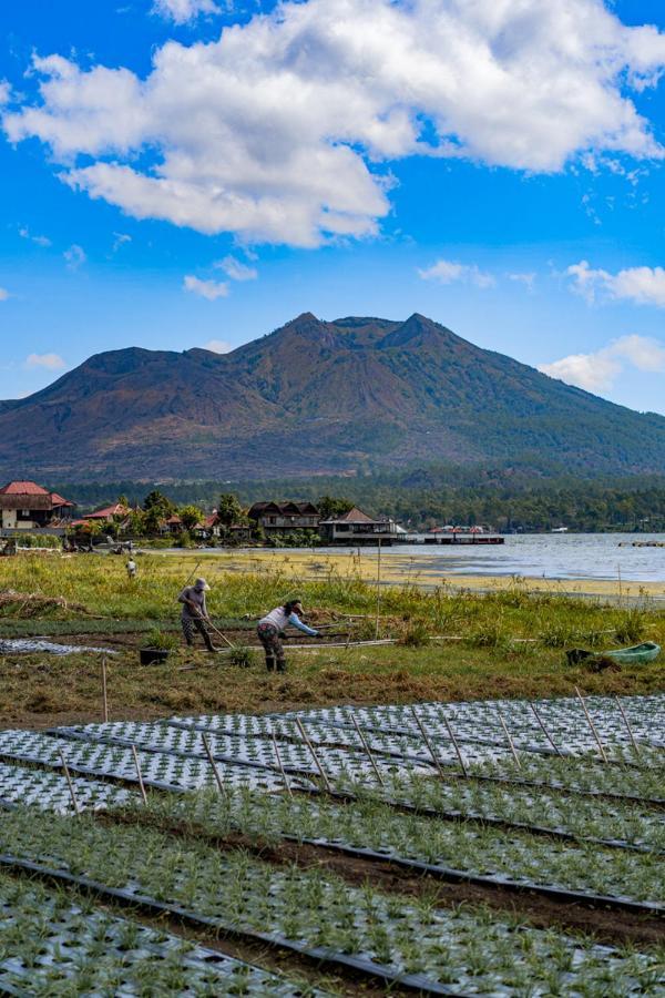 Pondok Manoka Kintamani المظهر الخارجي الصورة