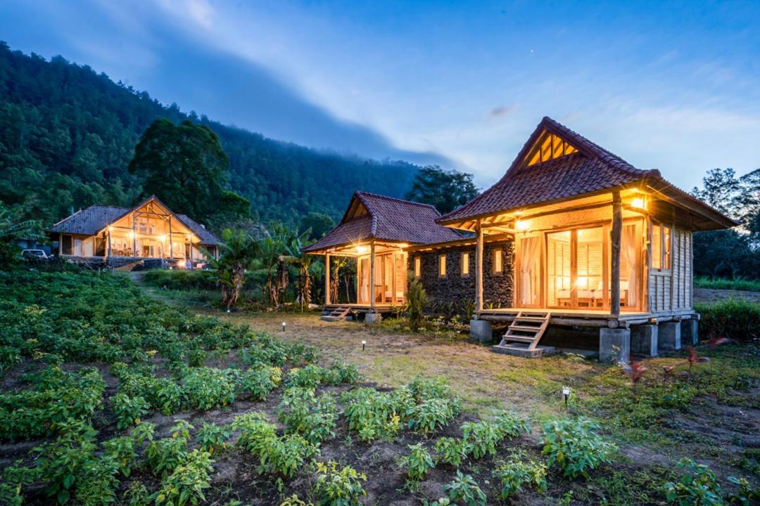 Pondok Manoka Kintamani المظهر الخارجي الصورة