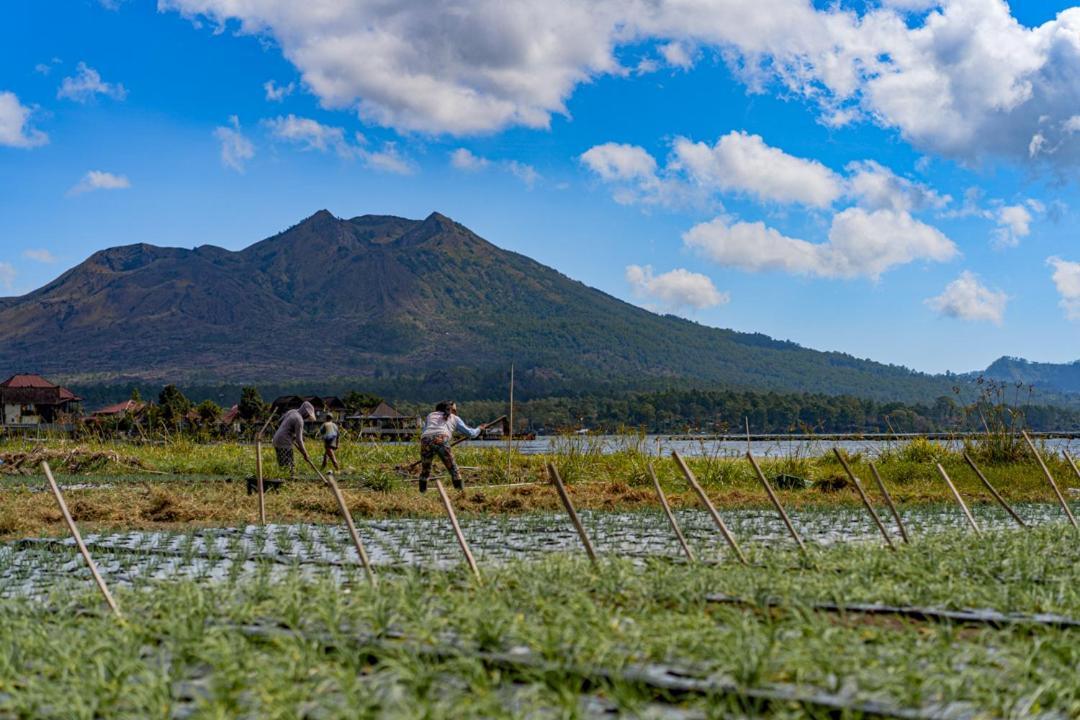 Pondok Manoka Kintamani المظهر الخارجي الصورة
