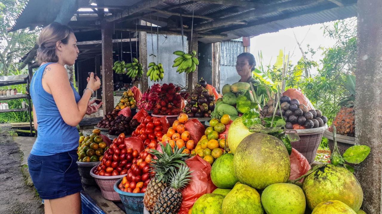 Pondok Manoka Kintamani المظهر الخارجي الصورة
