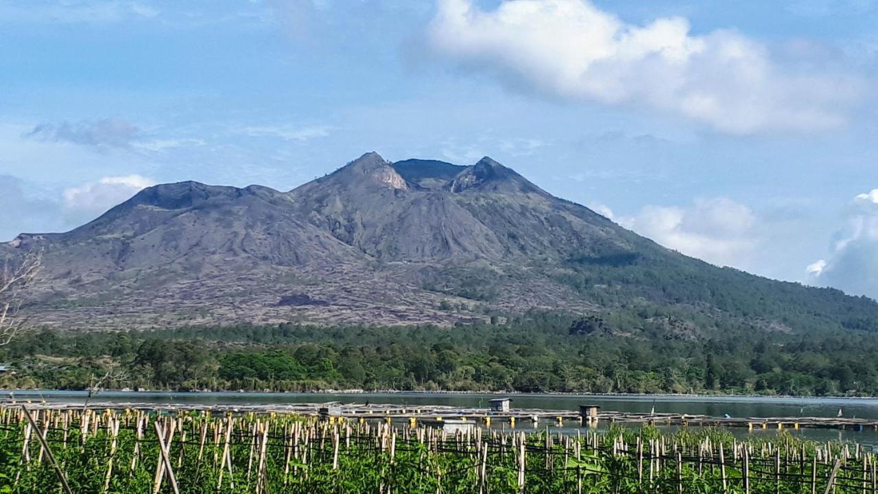 Pondok Manoka Kintamani المظهر الخارجي الصورة