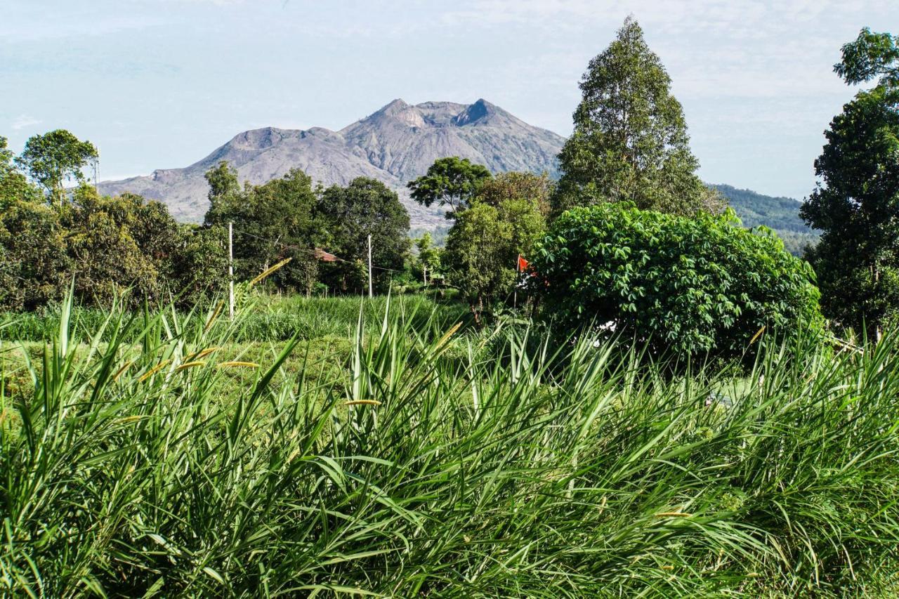 Pondok Manoka Kintamani المظهر الخارجي الصورة