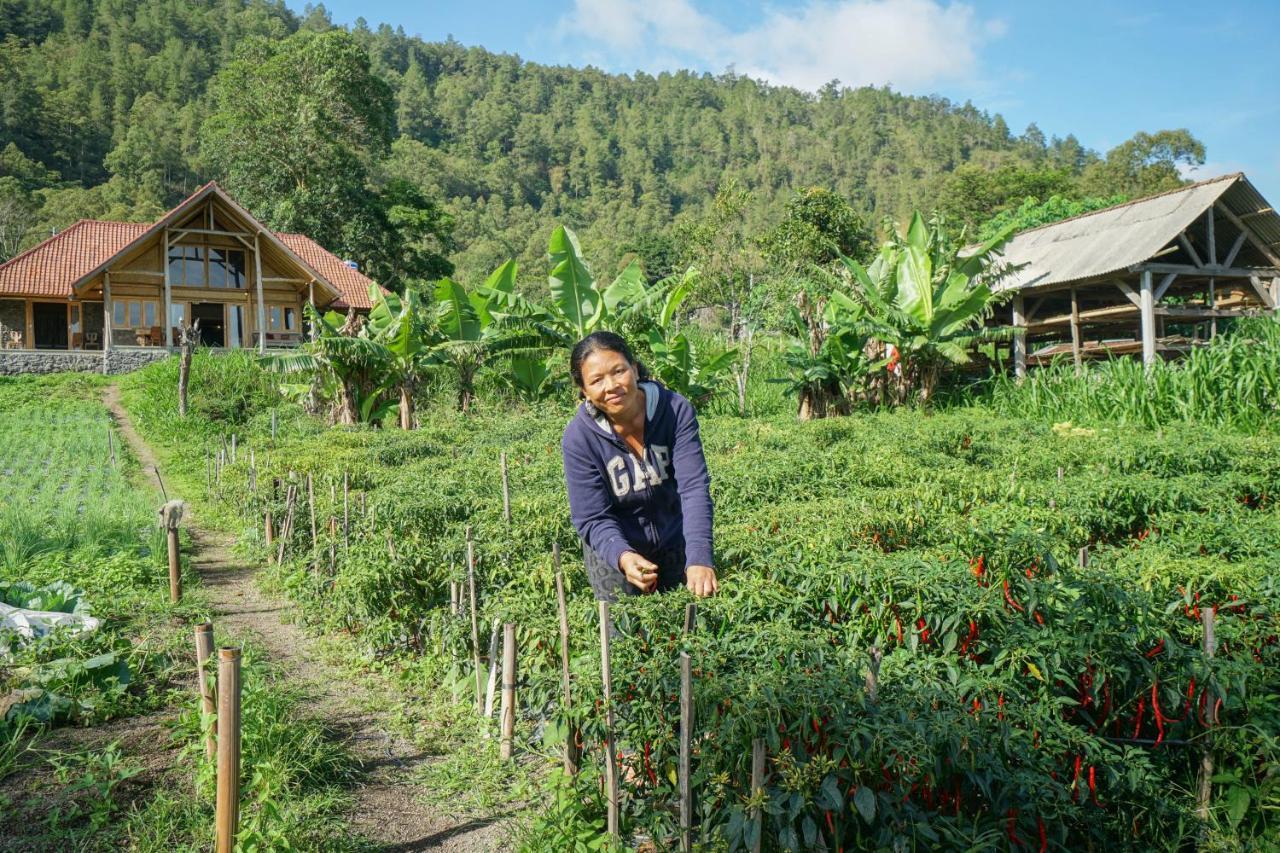 Pondok Manoka Kintamani المظهر الخارجي الصورة